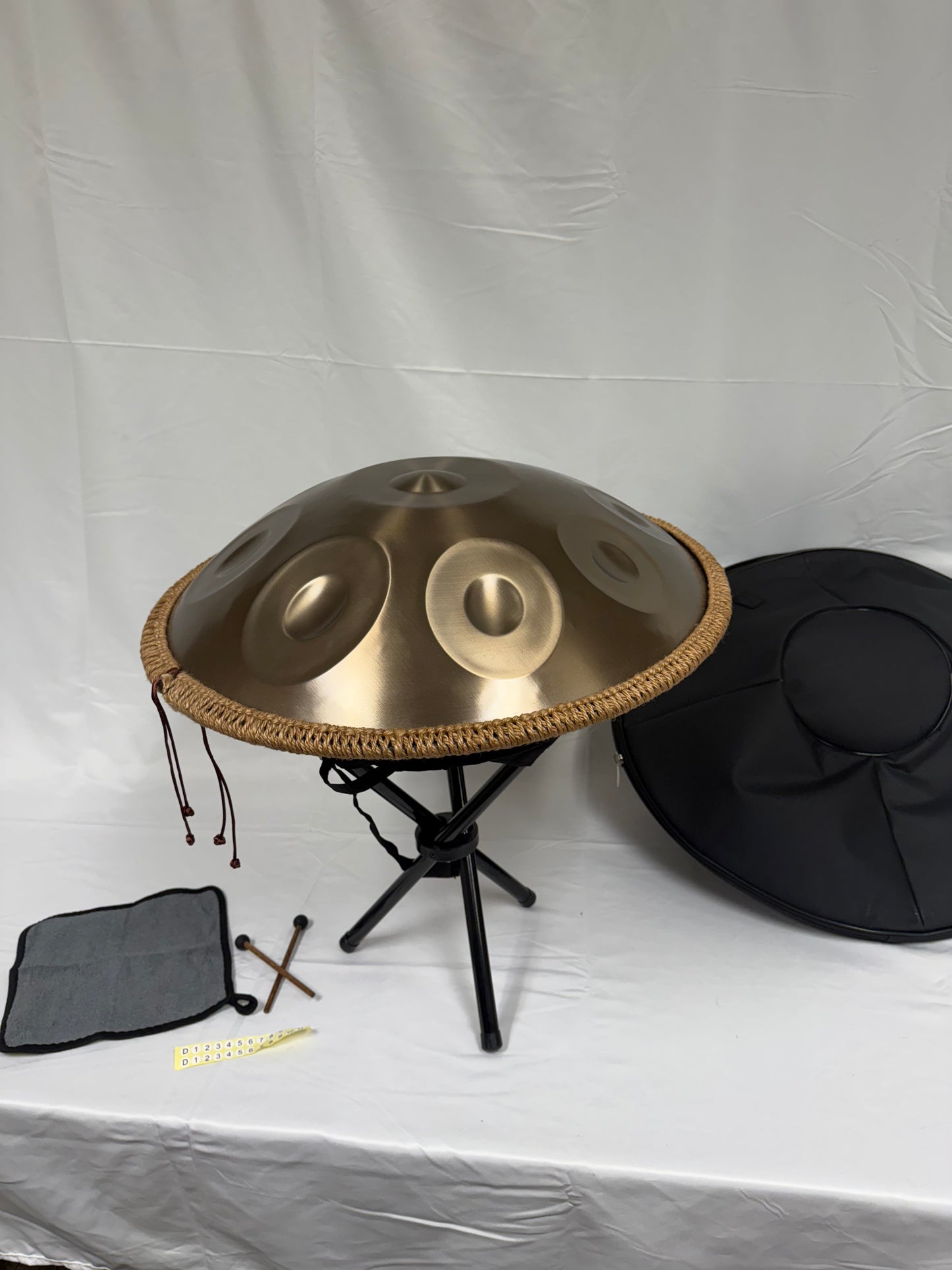 10 Note D-Minor Hand Pan 22"