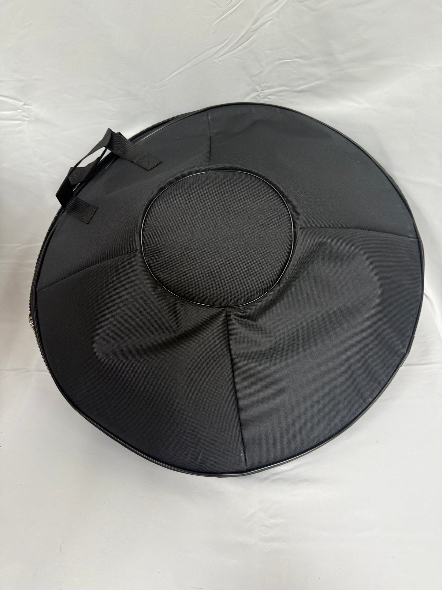 10 Note D-Minor Hand Pan 22"