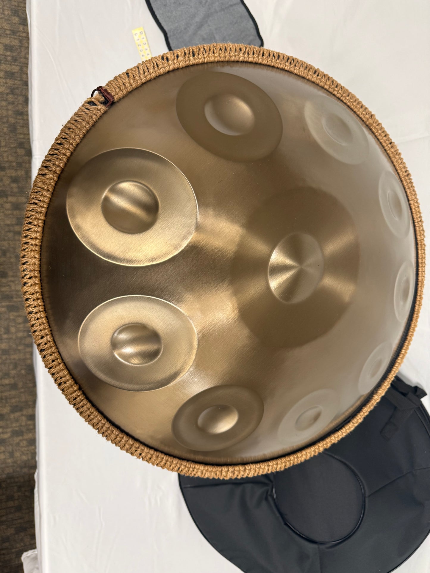 10 Note D-Minor Hand Pan 22"